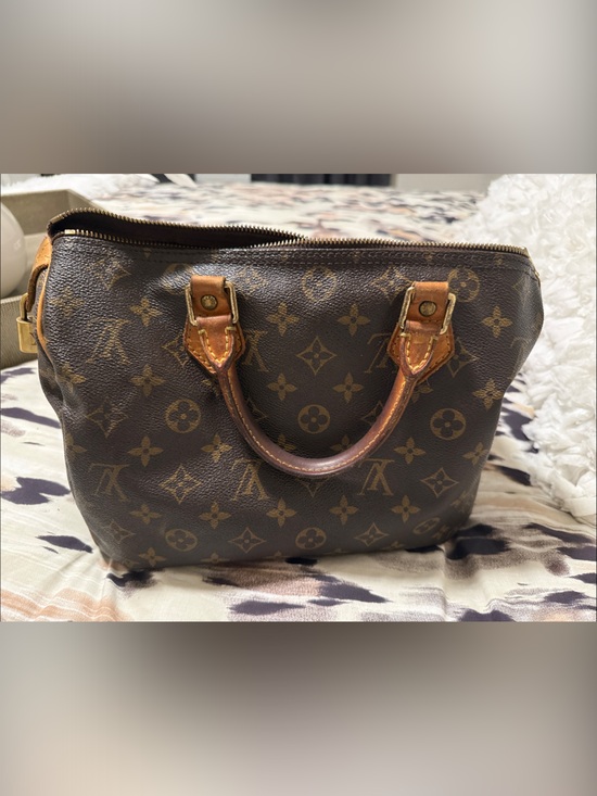 Louis Vuitton Handbags - Louis Vuitton Speedy